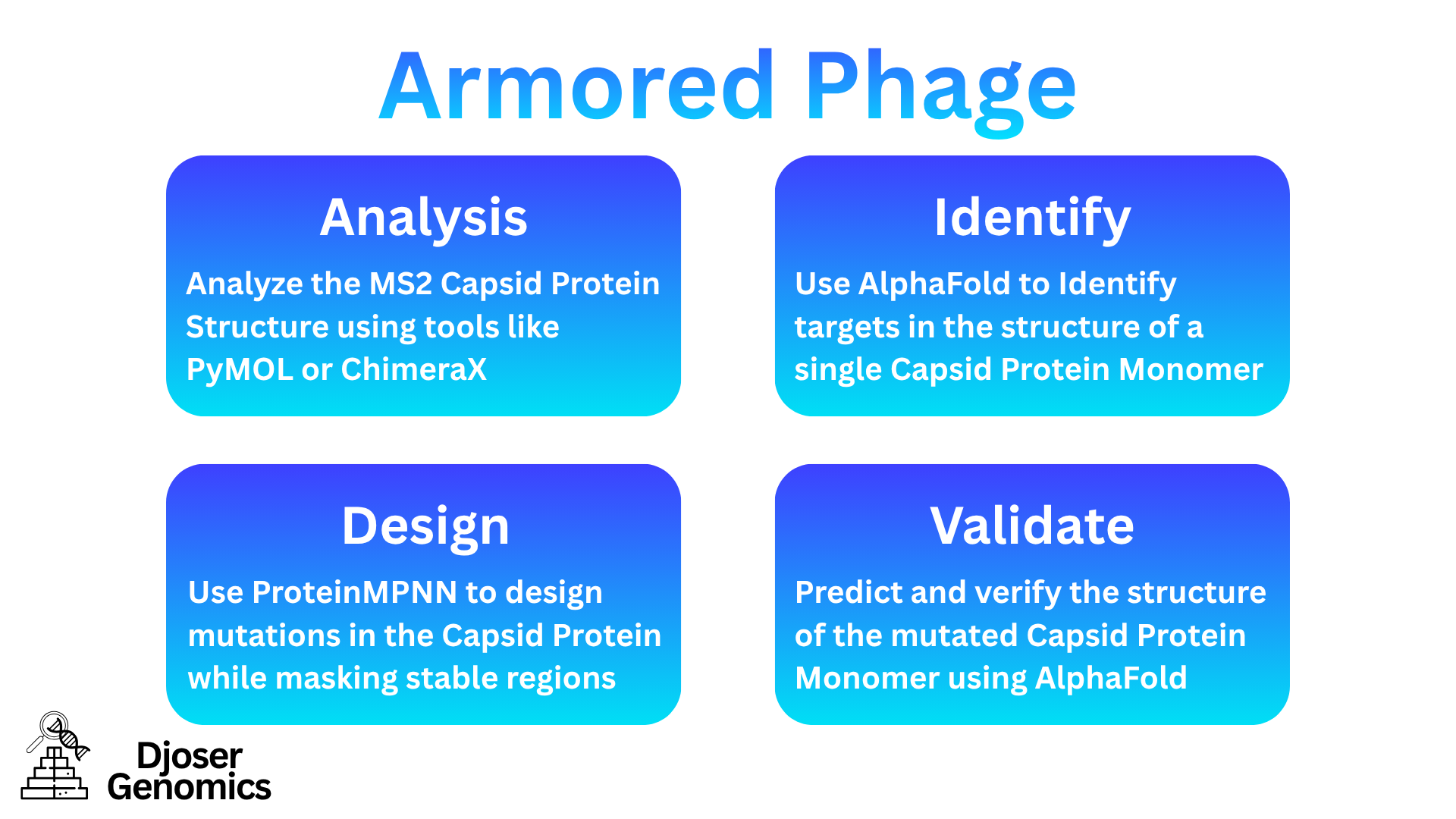 Armored Phage Pipeline Schematic